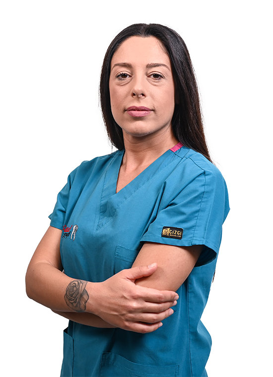 https://dentalkraft.mk/wp-content/uploads/2026/08/Ivona_Blazevska.png